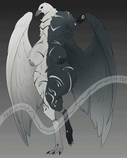 2_heads anthro areola beak big_breasts black_body breasts feathers female fur genitals multi_head nude simple_background solo thick_thighs vulva white_body wings khemmmis avian bird absurd_res hi_res