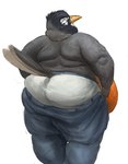 anthro back_rolls belly bottomwear butt clothed clothing denim denim_bottomwear denim_clothing dressing feathers grey_body grey_feathers jeans looking_at_butt looking_back male obese obese_anthro obese_male orange_belly overweight overweight_anthro overweight_male pants partially_clothed pulling_up_pants rear_view simple_background solo topless underwear white_background cettus avian bird oscine passerine robin_(bird) 2021