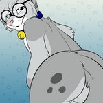 anthro bell bell_collar bent_over blue_collar blue_eyes butt collar collar_only eyewear fur glasses gradient_background grey_body grey_fur grey_hair hair male nude pink_nose shaking_butt simple_background smile solo tail tail_motion tail_swirl teasing kwik_(artist) nixuelle domestic_cat egyptian_mau felid feline felis mammal 1:1 2d_animation animated digital_media_(artwork) frame_by_frame low_res short_playtime