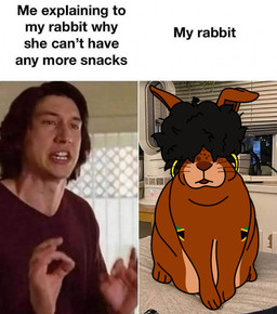 afro black_coded black_hair brown_body brown_lips brown_nose duo ear_piercing ear_ring female feral flag_patch freckled_face freckles fur hair humor jamaican_flag lips male multicolored_body nationality overweight overweight_female photo_background piercing real ring_piercing text two_tone_body whiskers awesomemazda04 adam_driver ms._jamaica_(awesomemazda04) cottontail_rabbit human lagomorph leporid mammal rabbit cel_shading english_text meme photography_(artwork) shaded