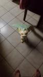 feet looking_at_viewer photo_background toes goldencarrot nintendo pokemon eeveelution generation_4_pokemon human leafeon mammal pokemon_(species) 2019 9:16 absurd_res hi_res photography_(artwork)