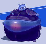 ambiguous_gender anthro belly belly_blush belly_expansion big_belly blue_body blue_fur blue_hair blueberry_inflation blush bodily_fluids body_blush body_inflation cheek_bulge chewing clothed clothing expansion fur hair hand_on_belly huge_belly hyper hyper_belly inflation motion_lines navel solo sound_effects standing sweat sweatdrop swelling text torn_clothing worried lockwoodlame ashley_kane canid canine fennec_fox fox mammal true_fox 2024 english_text hi_res