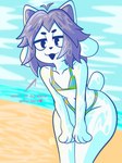 ambiguous_gender anthro beach bent_over bikini black_nose blue_bikini blue_clothing blue_swimwear clothing dialogue fur grey_body grey_fur half-closed_eyes heart_symbol narrowed_eyes open_mouth pattern_bikini pattern_clothing pattern_swimwear question_mark solo standing striped_bikini striped_clothing striped_swimwear stripes swimwear tail text thick_thighs two-piece_swimsuit wet wet_body white_body white_fur yellow_stripes goofy_horns undertale undertale_(series) temmie_(undertale) domestic_cat felid feline felis mammal 2025 english_description english_text hi_res