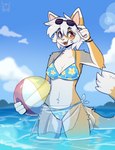 anthro arm_tuft ball beach_ball belly_tuft bikini bikini_top blue_bikini blue_clothing blue_swimwear bracelet breasts clothing cloud countershade_face countershade_legs countershade_neck countershade_thighs countershade_torso countershading day detailed_background dipstick_tail eyewear eyewear_on_head female fur grey_body grey_fur hair holding_beach_ball inflatable jewelry looking_at_viewer markings navel_tuft open_mouth open_smile outside partially_submerged pink_nose print_bikini print_clothing print_swimwear sarong shoulder_tuft sky smile solo sunglasses sunglasses_on_head swimwear tail tail_markings tuft two-piece_swimsuit water white_body white_countershading white_fur white_hair white_tail_tip yellow_body yellow_fur fleurfurr arcanis_(hahaluckyme) calico_cat domestic_cat felid feline felis mammal 2024 digital_media_(artwork) hi_res signature