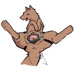 animal_genitalia animal_vulva brown_body brown_fur canine_genitalia canine_vulva female feral fur genitals penetration plump_labia simple_background solo spread_legs spreading tail tail_motion tailwag vulva white_background angra canid canine canis mammal censored