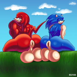 annoyed anthro anus balls balls_touching big_balls big_butt butt butt_focus butt_size_difference duo genitals half-closed_eyes huge_balls looking_back male muscular muscular_male narrowed_eyes puffy_anus rear_view sitting smug_grin thick_thighs hellpasser sega sonic_the_hedgehog_(series) knuckles_the_echidna sonic_the_hedgehog echidna eulipotyphlan hedgehog mammal monotreme 1:1 absurd_res hi_res