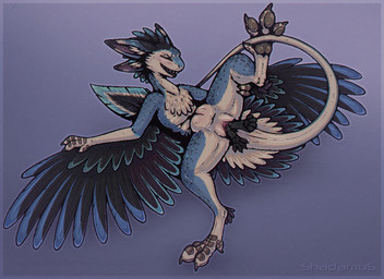 abdominal_bulge animal_genitalia anthro bodily_fluids cloaca cloacal cloacal_vore feathers female genitals male paws size_difference smaller_male spread_legs spreading vore shadarrius aronai taluki_(vixie) avali canid canine fox mammal hi_res