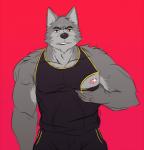 anthro areola biceps black_bottomwear black_clothing black_topwear bottomwear clothed clothing fur male muscular muscular_anthro muscular_male nipple_zipper nipples pecs shirt shorts solo tank_top top_tank_meme topwear bcokami meme_clothing canid canine canis mammal wolf 2017 hi_res meme