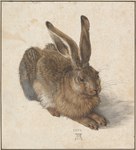 1502 16th_century absurd_res albrecht_durer ambiguous_gender ancient_art brown_body brown_eyes brown_fur claws detailed european_hare feral formal_art fur gouache_(artwork) hare hi_res lagomorph leporid long_ears mammal no_sclera nude painting_(artwork) public_domain quadruped realistic solo toe_claws traditional_media_(artwork) watercolor_(artwork) whiskers