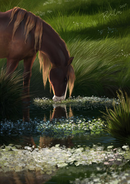 ambiguous_feral ambiguous_gender blue_eyes brown_body brown_mane day drinking feral grass mane orange_mane outside plant reflection side_view solo water rufciu equid equine horse mammal 2025 dated detailed hi_res signature female_(lore)
