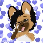 anthro black_hair blep brown_body brown_eyes brown_fur chibi ear_piercing ear_ring eyewear female fur glasses hair piercing ring_piercing solo tan_body tan_fur tongue tongue_out white_body white_fur sourmagic african_wild_dog canid canine gnoll hybrid hyena mammal 1:1