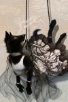 abstract_background alternative_fashion anthro barefoot biped black_body black_fur black_nose black_rope breasts clothed clothing collar detailed_background digitigrade dress ero_lolita feet female flexible frilly frilly_clothing frilly_dress fully_clothed fur grey_eyes hindpaw j-fashion lolita_(fashion) paws rope small_breasts solo suspension whiskers white_collar zyonji canid canine canis mammal wolf 2:3 detailed hi_res