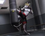 abs action_pose anthro biceps blue_eyes bodily_fluids bottomwear clothed clothing countershading exercise hair kick kickboxing male mixed_martial_arts muscular muscular_anthro muscular_male pecs pose punching_bag shorts solo spread_legs spreading sweat teeth topless training dream_and_nightmare skye_(shark7) fish marine shark 5:4