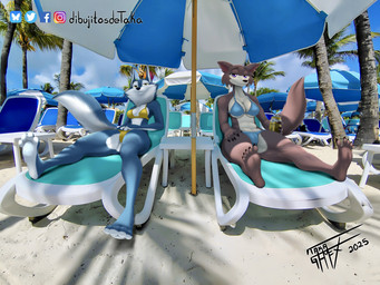 4_toes 5_fingers 5_toes anthro barefoot beach beverage beverage_can bikini bikini_bottom bikini_top black_nose blue_body blue_fur breasts brown_body brown_fur clothed clothed_anthro clothed_female clothing duo feet female fingers foot_focus fur humanoid_feet humanoid_hands multicolored_body multicolored_fur paws plantigrade smile soles swimwear tail toes triangle_bikini two-piece_swimsuit two_tone_body two_tone_fur white_body white_fur taka_studio beastars illumination_entertainment sing_(movie) juno_(beastars) porsha_crystal canid canine canis mammal wolf 4:3 absurd_res hi_res