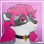 anthro brown_eyes choker female hair jewelry necklace pink_hair solo spotted_nose dunnowhattowrite pasia mammal procyonid raccoon 1:1 hi_res