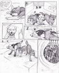 ambiguous_gender canid canine canis comic coop_(wrng) dialogue digitigrade english_text feral fur graphite_(artwork) greyscale group mammal monochrome natsume_(wrng) natsumewolf pencil_(artwork) quadruped rikku tail text traditional_media_(artwork) wolf wolf's_rain wolf's_rain_next_generation