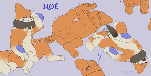 2_tails >_< alternate_color animal_genitalia anus balls belly black_markings black_penis blue_background blue_blush blue_eyes blush bodily_fluids eyes_closed fur fur_tuft fuzzy genital_fluids genitals gloves_(marking) gradient_fur leg_markings lying male markings multi_tail on_back orange_body orange_fur penile_spines penis precum precum_string sheath sheathed_tapering_penis simple_background sitting socks_(marking) solo stretching tail tapering_penis tuft underbelly white_balls white_belly white_markings vekrott nintendo pokemon noe_(vekrott) buizel generation_4_pokemon pokemon_(species) absurd_res hi_res