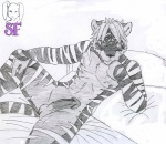 anthro balls black_body black_fur fur genitals half-erect looking_at_viewer male nude penis pose reclining simple_background solo stripes tail white_background white_body white_fur suicide_furs zeric felid mammal pantherine tiger pinup