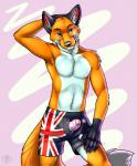 2013 anthro armpit_hair australian_flag biped blue_eyes body_hair boxers_(clothing) canid canine chest_tuft claws clothed clothing digital_media_(artwork) erection flag flag_clothing flag_print flag_underwear fluffy fluffy_tail foreskin fox front_view fur genitals gloves_(marking) hand_behind_head hi_res humanoid_genitalia humanoid_penis looking_at_viewer male mammal markings muscular muscular_anthro muscular_male orange_body orange_fur orithan partially_retracted_foreskin pecs penis penis_through_fly poking_out portrait pose print_clothing print_underwear simple_background solo standing tail three-quarter_portrait topless tuft unbuttoned underwear undressing vallhound white_body white_fur