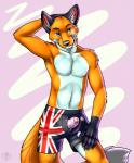 anthro armpit_hair australian_flag biped blue_eyes body_hair boxers_(clothing) chest_tuft claws clothed clothing erection flag flag_clothing flag_print flag_underwear fluffy fluffy_tail foreskin front_view fur genitals gloves_(marking) hand_behind_head humanoid_genitalia humanoid_penis looking_at_viewer male markings muscular muscular_anthro muscular_male orange_body orange_fur partially_retracted_foreskin pecs penis penis_poking_out penis_through_fly pose print_clothing print_underwear simple_background solo standing tail topless tuft unbuttoned underwear undressing white_body white_fur vallhound orithan canid canine fox mammal 2013 digital_media_(artwork) hi_res portrait three-quarter_portrait