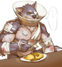 E621 profile picture for @Kant