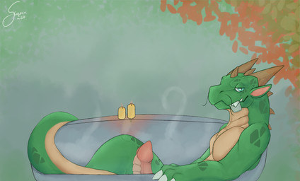 animal_genitalia anthro bath blue_eyes candle claws condom condom_wrapper erection genitals green_body grin horn leaf looking_at_viewer male markings nude outside paws penis sexual_barrier_device simple_background smile solo steam tail teeth unused_condom whiskers wrapped_condom scarf_(artist) mythology dragon mythological_creature mythological_scalie scalie 2020 absurd_res digital_media_(artwork) hi_res