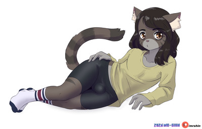 anthro black_bottomwear black_clothing black_footwear black_hair black_shorts black_socks bottomwear brown_body brown_fur bulge clothing footwear fur grey_body grey_fur hair hand_on_hip inner_ear_fluff looking_at_viewer lying male markings mole_(marking) no_shoes on_side orange_eyes pink_inner_ear pink_nose pupils red_clothing red_footwear red_socks shirt shorts simple_background socks solo thick_thighs topwear tuft white_background white_body white_clothing white_footwear white_fur white_inner_ear_fluff white_socks wide_hips yellow_clothing yellow_shirt yellow_topwear mr-shin cat_sona_(mr-shin) domestic_cat felid feline felis mammal 2026 hi_res