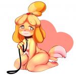 anthro blush breasts collar female fur hair leash nipples nude simple_background solo white_background yellow_body yellow_fur englam animal_crossing nintendo isabelle_(animal_crossing) canid canine canis domestic_dog mammal shih_tzu toy_dog 2019 digital_media_(artwork)