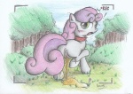 ! 2013 anus blush collar cub equine female feral friendship_is_magic fur horn horse looking_at_viewer looking_back my_little_pony outside patoriotto peeing pony pussy sweetie_belle_(mlp) two_tone_hair unicorn urine white_fur young
Rating: Explicit
Score: 8
User: Patoriotto
Date: August 30, 2013
