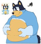 anthro belly big_belly black_nose blue_body humanoid_hands kemono male mature_male overweight overweight_male solo ginnosuke bluey_(series) bandit_heeler australian_cattle_dog canid canine canis cattledog domestic_dog herding_dog mammal pastoral_dog 2023 hi_res