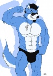 2013 abs anthro beard biceps big_muscles black_hair blue_fur bulge canine chest_tuft dog dog_tags dragonslash eyewear facial_hair flexing fur glasses goatee green_eyes grin hair looking_at_viewer male muscles pecs plain_background pose smile solo speedo standing sunglasses swimsuit toned topless tuft white_fur
Rating: Questionable
Score: 4
User: Albi
Date: December 22, 2013