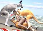 3d_(artwork) all_three_filled anal anal_penetration animal_genitalia animal_penis beach bestiality blonde_hair breasts cloaca cloacal_penis detailed_background digital_media_(artwork) erection eyes_closed feet fellatio female female_on_feral feral foursome fur gangbang genitals group group_sex hair human human_on_feral interspecies kangaroo macropod male male/female male_penetrating mammal marsupial marsupial_penis nipples nude oral oral_penetration outside penetration penile penis realistic_feral red_kangaroo sand seaside sex sex_on_the_beach sky spitroast tapering_penis tower triple_penetration vaginal vaginal_penetration water white_body white_fur xnassyx