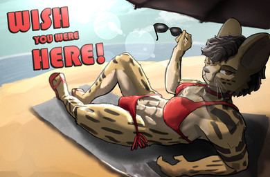 abs anthro beach bikini bulge clothed clothing feet fur gynomorph intersex looking_at_viewer multicolored_body multicolored_fur muscular muscular_anthro muscular_gynomorph muscular_intersex postcard red_clothing sea seductive solo striped_body stripes sun swimwear text two-piece_swimsuit water whiskers aka_meyneth junebug_(aka_meyneth) felid feline mammal serval absurd_res english_text hi_res