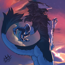 4_fingers anthro black_body black_fur black_hair butt claws fingers fur hair looking_at_viewer male nude orange_eyes pawpads sky solo standing sun sunset tail white_body white_fur jakkai-reborn sergal 1:1 shaded signature