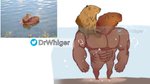 abs alternate_species anthro anthrofied duo male muscular muscular_anthro muscular_male partially_submerged pecs photo smile standing water dr.whiger dogelore cheems swole_doge capybara caviid mammal rodent 2021 hi_res meme watermark