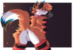 andromorph anthro anus armsocks clothing collar genitals hornybnuuy intersex leggings legwear male nerd pussy benjithefox canid canine fox mammal hi_res