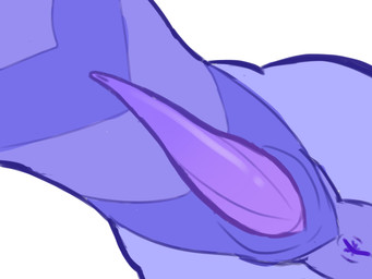 anus feral genitals hip_dips lying male on_back penis presenting presenting_penis purple_body slit_penis solo tapering_penis floofybeanie european_mythology mythology atlas_(astral_wings) dragon mythological_creature mythological_scalie scalie western_dragon absurd_res hi_res