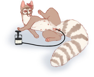 anus artificial_insemination belly_nipples bodily_fluids brown_body brown_fur brown_markings cum facial_markings female feral flower_on_head fur genital_fluids genitals head_markings lying markings mask_(marking) on_side pawpads pump raised_leg ring_(marking) ringed_tail solo striped_markings striped_tail stripes tail tail_markings vulva white_markings welcometaco bassariscus cacomistle mammal procyonid hi_res
