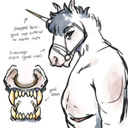 anthro brown_eyes facial_piercing fangs grey_hair hair looking_at_viewer male male_anthro mastectomy_scar mouth_closed nose_piercing nose_ring nude piercing ring_piercing scar septum_piercing septum_ring sharp_teeth short_hair side_view simple_background solo teeth text white_body yellow_teeth lionfloof equid equine horse mammal 1:1 english_text hi_res