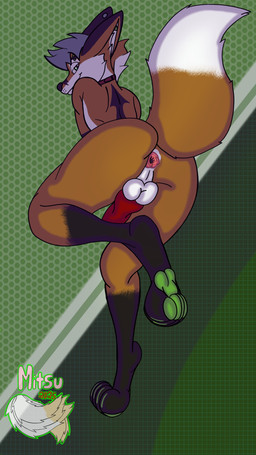 animal_genitalia animal_penis anthro anus balls canine_genitalia canine_penis collar femboy genitals male nude paws penis solo spread_cheeks mitsuthesune vir_the_fox canid canine fox mammal red_fox true_fox 9:16 absurd_res hi_res