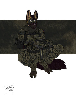 anthro bottomwear camo camo_bottomwear camo_clothing camo_jacket camo_pants camo_print clothing ears_up feet flag flag_clothing gun holding_gun holding_object holding_ranged_weapon holding_rifle holding_weapon looking_forward male military military_clothing military_jacket military_pants military_uniform pants pattern_bottomwear pattern_clothing pattern_pants ranged_weapon rifle scotland scotland_flag soldier solo tail uniform warrior weapon bartek22 sean_(bartek22) hi_res