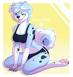 4_toes anthro barefoot blue_body blue_eyes blue_fur blue_hair blush bottomwear bra breasts chest_tuft claws clothed clothing countershade_face countershade_tail countershade_torso countershading crossgender curled_tail dolphin_shorts feet female female_anthro floppy_ears fur hair kneeling looking_at_viewer mottled multicolored_hair navel one_eye_closed pattern_background pawpads paws pink_pawpads pink_tongue shorts simple_background solo sports_bra tail toe_claws toes tongue tongue_out tuft two_tone_hair underwear white_body white_countershading white_fur white_hair wink yellow_background nana-yuka kurtek canid canine canis domestic_dog husky mammal nordic_sled_dog spitz absurd_res digital_media_(artwork) hi_res shaded signature