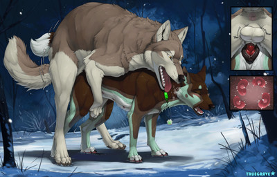 anal_wink animal_genitalia animal_penis animal_vulva anus balls black_vulva brown_body brown_fur canine_genitalia canine_penis canine_vulva collar cutaway detailed_background duo erection eyes_closed female female_feral female_penetrated feral feral_on_feral feral_penetrated feral_penetrating feral_penetrating_feral from_behind_position fur genitals green_body green_fur group impregnation knot knot_root knotted_penis knotting looking_pleasured male male/female male_feral male_penetrating male_penetrating_female mating_grip mounting multicolored_body multicolored_fur multiple_ova open_mouth orgasm outside_sex ovum penetration penile penile_penetration penis penis_in_vagina pumping_cum red_penis sex sheath sperm_cell tan_body tan_fur throbbing throbbing_balls tongue tongue_out top_hole unseen_cum_inside vaginal vaginal_knotting vaginal_penetration vulva white_body white_fur truegrave9 sheppermint canid canine canis domestic_dog german_shepherd herding_dog mammal pastoral_dog wolf 2025 digital_media_(artwork) hi_res