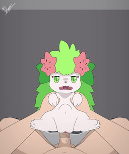 abdominal_bulge ahegao audible_ejaculation balls balls_deep belly bestiality big_belly big_butt big_penis blue_eyes bodily_fluids butt clitoris consistent_pov cum cum_drip cum_in_vagina cum_inflation cum_inside deep_penetration dripping duo ejaculation erection evolution_(transformation) evolution_through_sex excessive_cum excessive_genital_fluids female female_feral female_on_human female_penetrated feral feral_penetrated fingers first_person_view fleshlight_position genital_fluids genital_focus genitals green_eyes heart_eyes heart_symbol human_on_feral human_penetrating human_penetrating_female human_penetrating_feral humanoid_genitalia humanoid_penis inflation interspecies larger_human larger_male leaking leaking_cum looking_pleasured male male/female male_human male_on_feral male_penetrating male_penetrating_female open_mouth orgasm pawpads paws penetration penis penis_focus plump_labia pokephilia pubic_mound pussy_juice_leaking sex simple_background size_difference smaller_female smaller_feral smaller_penetrated sound_effects thick_thighs tongue tongue_out transformation transformation_through_sex vaginal vaginal_fluid_drip vaginal_fluid_string vaginal_fluids vaginal_fluids_on_penis vaginal_fluids_on_vulva vaginal_penetration vein veiny_penis vulva white_body dengon sound_warning opennsfwsp_(sfx) nintendo pokemon generation_4_pokemon human land_forme_shaymin legendary_pokemon mammal pokemon_(species) shaymin sky_forme_shaymin 2025 2d_animation 5:6 animated digital_media_(artwork) frame_by_frame hi_res long_playtime sound video