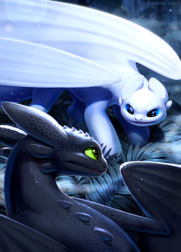 black_body black_scales black_wings claws duo female feral fingers male outside scales standing teeth white_body white_scales white_wings wings bloominglynx dreamworks european_mythology how_to_train_your_dragon mythology nubless toothless dragon fury_(httyd) light_fury mythological_creature mythological_scalie night_fury scalie western_dragon 2025 absurd_res digital_drawing_(artwork) digital_media_(artwork) hi_res