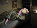 4:3 bed bedding blanket blinds blue_eyes bulletin_board equid equine eyes_closed female feral fluttershy_(mlp) friendship_is_magic furniture hair hasbro horse information_board inside long_hair mammal mixed_media my_little_pony on_bed pillow pink_hair ponies_in_real_life pony real sleeping solo under_covers unknown_artist