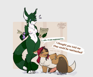 all_fours amputee anthro breasts claws dialogue disability duo female fur genitals green_body green_fur gynomorph hair inanimate_transformation intersex nipples nude penis petrification quadruple_amputee red_hair simple_background surprised tail text transformation anthromage eolas_(dogsrnice) ailurid canid canine fox mammal red_panda 2026 absurd_res digital_media_(artwork) english_text hi_res