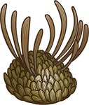 ambiguous_gender feral green_body scales solo spikes spikes_(anatomy) spines alberio974 marine mollusk wiwaxia 2013 digital_drawing_(artwork) digital_media_(artwork) low_res