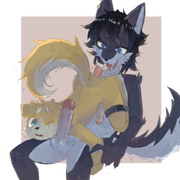 5_fingers adult_on_young age_difference anthro anthro_on_anthro anthro_penetrated arm_tuft ass_up balls big_penis black_body black_eyebrows black_fur black_hair black_nose blue_eyes blush body_blush bound claws duo ear_piercing elbow_tuft erection eyebrows finger_claws fingers floppy_ears fluffy fluffy_tail frogtied fur genitals glistening glistening_balls glistening_body glistening_genitalia glistening_penis hair humanoid_genitalia humanoid_penis kemono leg_grab legs_tied looking_at_butt looking_at_viewer male male/male male_anthro male_penetrated multicolored_body multicolored_fur nude_anthro nude_male one_eye_closed open_mouth penetration penis penis_blush penis_size_difference perineum piercing pink_vibrator red_background sex_toy shoulder_tuft simple_background sitting size_difference spread_legs spreading tail tuft two_tone_body two_tone_fur vibrator wand_vibrator white_background white_balls white_body white_eyebrows white_fur white_inner_ear white_penis yellow_body yellow_fur young young_anthro young_male young_penetrated regcron crowl_(regcron) canid canine canis domestic_dog mammal wolf 1:1 2025 hi_res