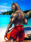 anthro back_muscles beach butt clothed clothing day eyewear furgonomics goggles lifeguard looking_back male muscular muscular_anthro muscular_male outside sand sea seaside short_tail smile solo standing swimming_cap swimming_trunks swimwear tail topless water whiskers hikaruthewolf mammal marine pinniped seal absurd_res hi_res